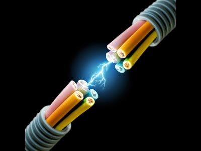 四川變電站RTV涂層保溫中藻類的分子研究_no.117